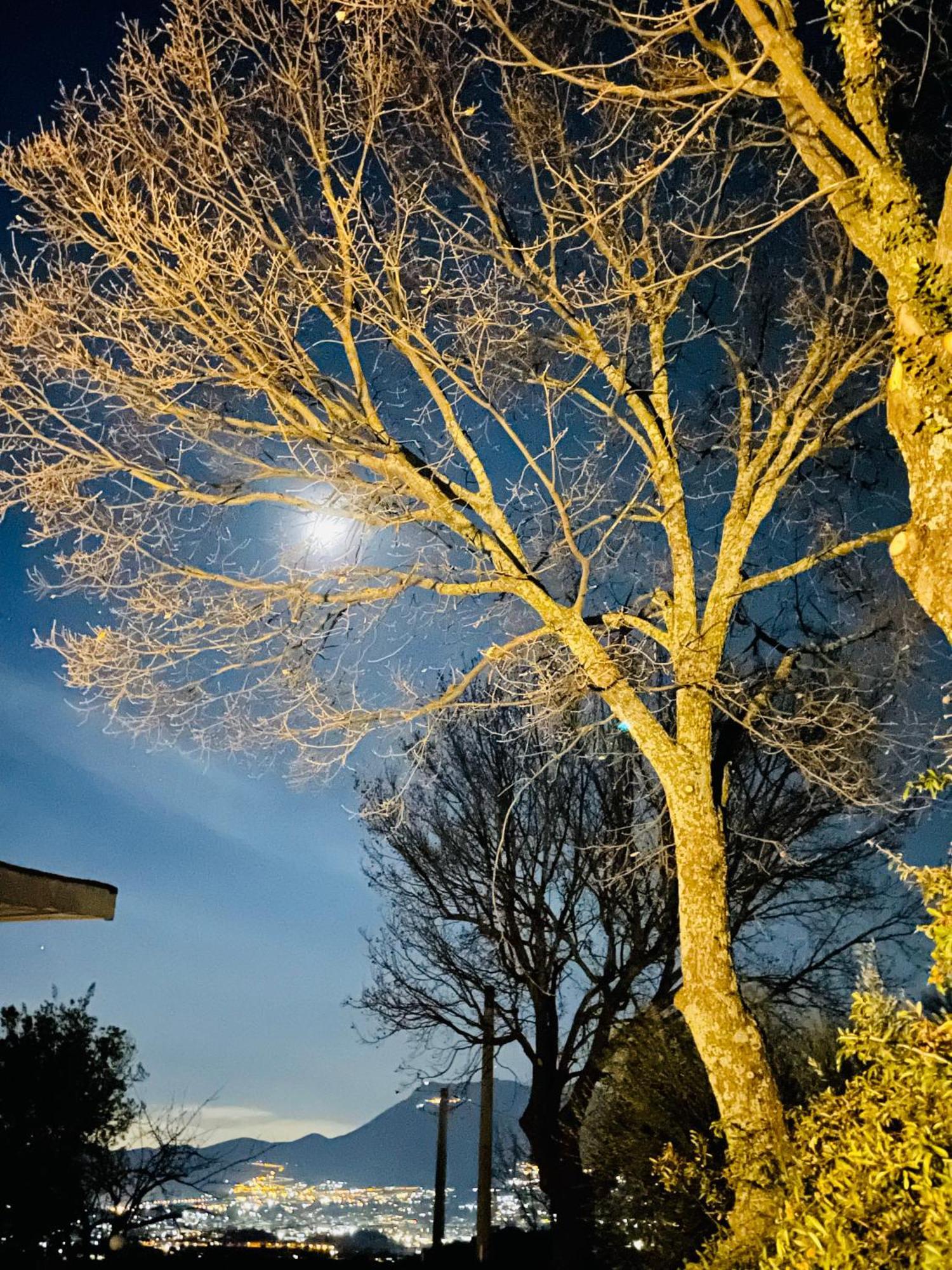 Villa Mandetta B&B Santo Stefano del Sole Eksteriør billede