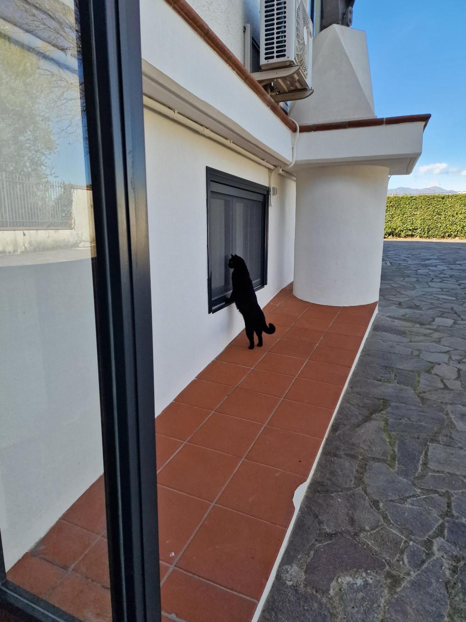 Villa Mandetta B&B Santo Stefano del Sole Eksteriør billede