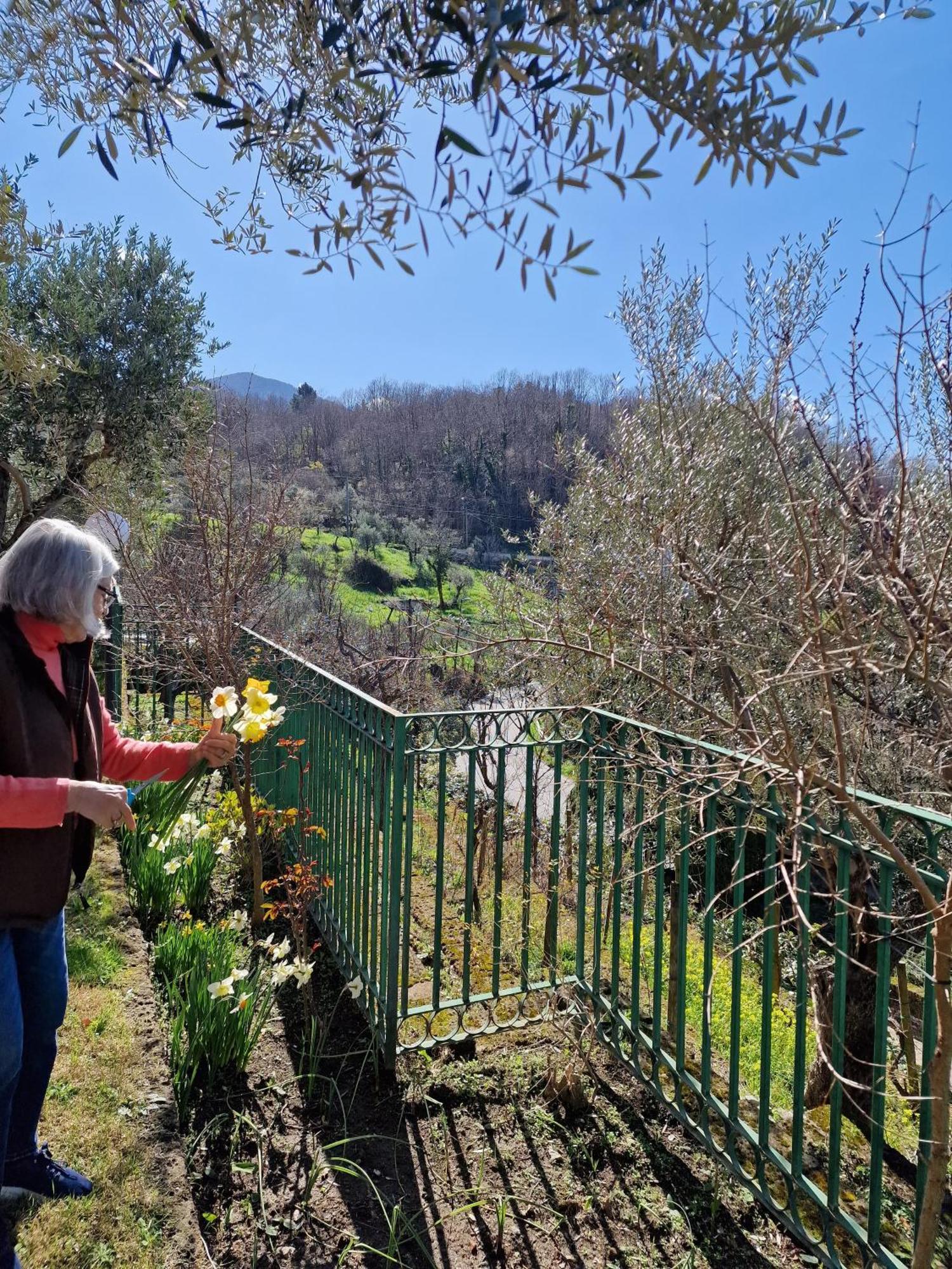 Villa Mandetta B&B Santo Stefano del Sole Eksteriør billede